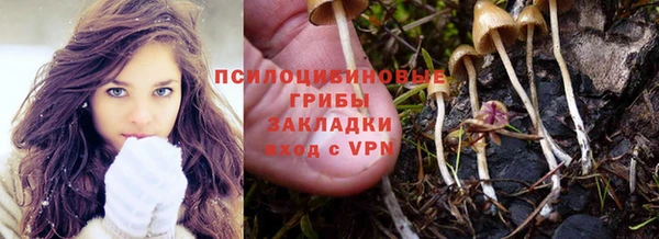стаф Абинск