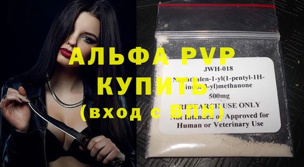 стаф Абинск